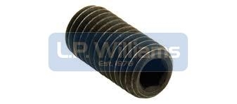 M/cyl grub screw