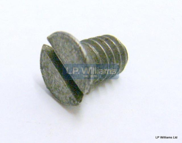 C/sunk screw