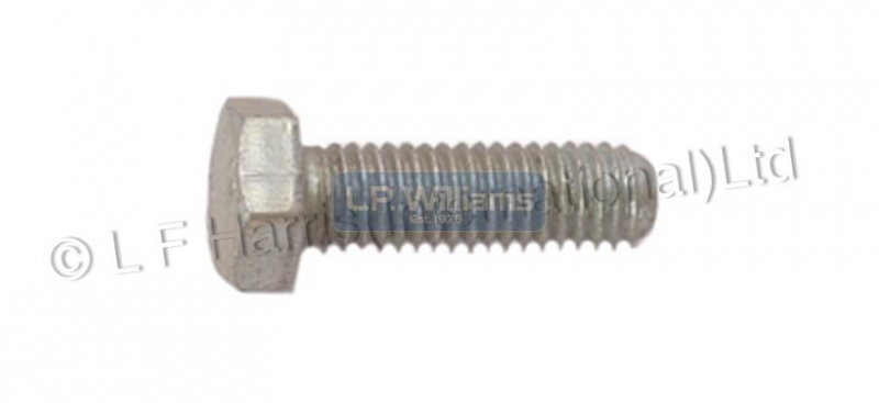 Screw