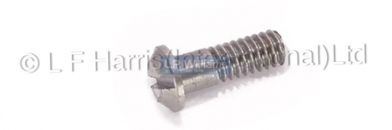500/650cc Crankcase Screw Inside Boss