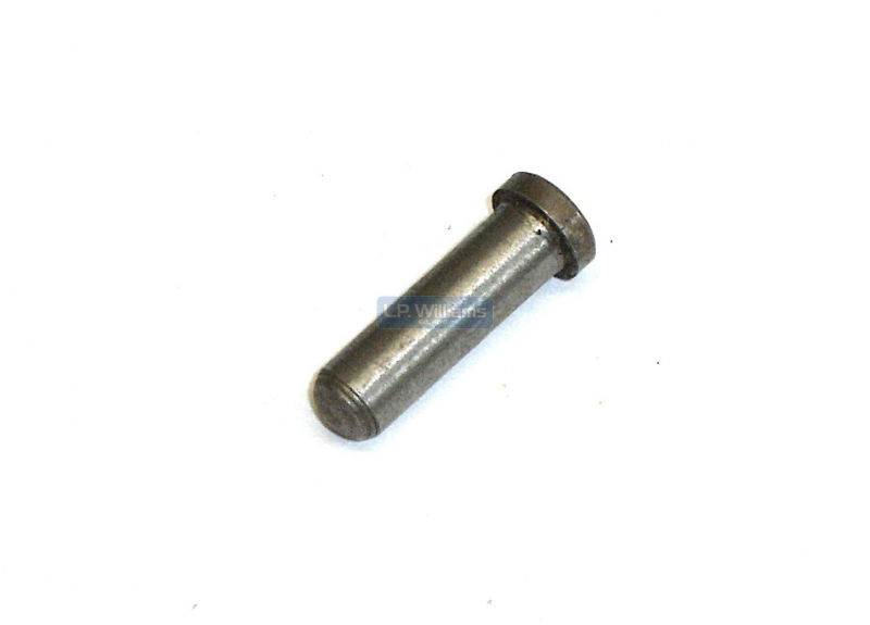 Plunger for neutral switch