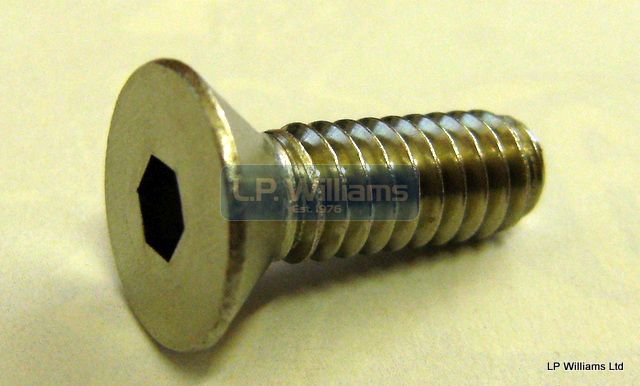 1/4 x 3/4 UNC  C/sunk socket head screw  Stainless