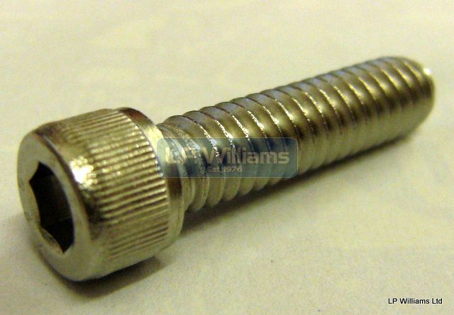 1/4 UNC x 1 stainless Allen screw