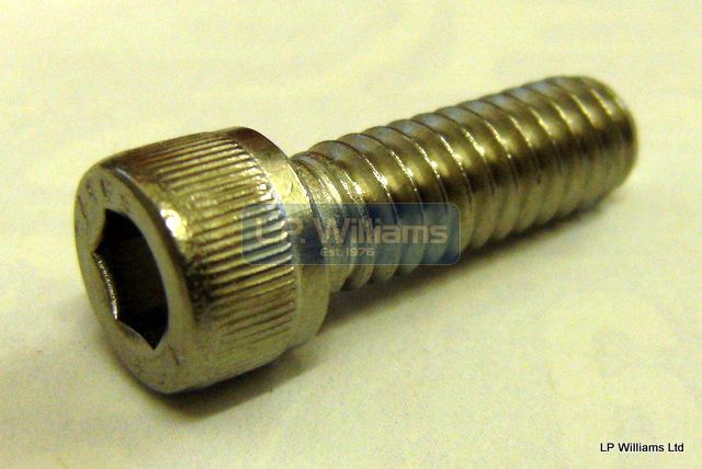 1/4 UNC x 3/4 Stainless  Allen screw