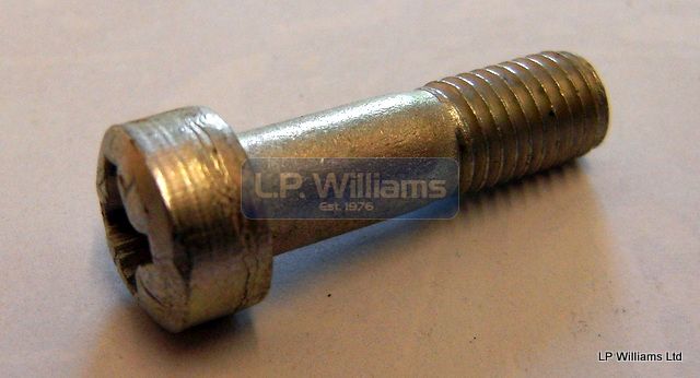 Clutch lever pivot screw