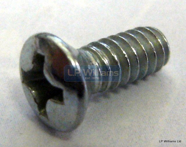 Caliper cover screw