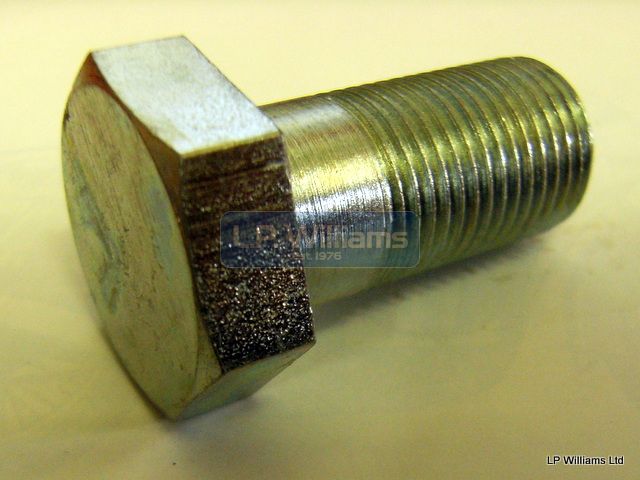 Swinging arm locking Bolt