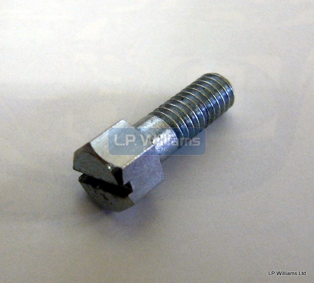 Screw