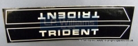 Transfer. Trident in white LH & RH pair