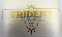 Trident V decal