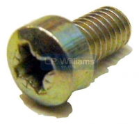 Fork Drain plug 2BA (cross head type)