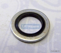 Cap screw seal