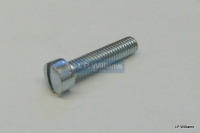 2 BA x 7/8 Slot headed screw