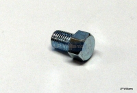 Blanking plug screw for carburettor top