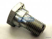 Bolt  Torque Stay to Swinging Arm