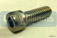 1/4 UNC x 3/4 Stainless  Allen screw