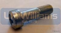 Clutch lever pivot screw