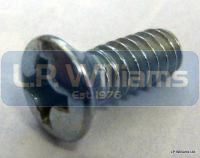 Caliper cover screw