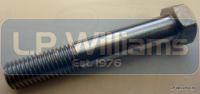Bolt - Crankcase Bolt