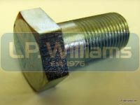 Swinging arm locking Bolt