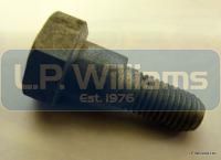 T160 Torque arm bolt for swing arm