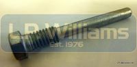 Pivot pin bolt - self starter