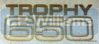 Trophy 650 decal (Small)