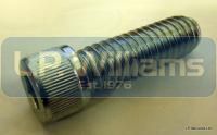 5/16 UNC x 1inch Caphead screw